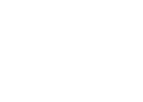 Logo Trentino weiss