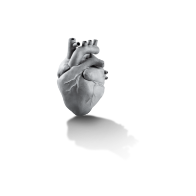 3d-printed-ceramic-human-heart-model